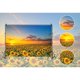 thumbnail image 4 of TELÓN DE FONDO shensu 2,7 x 1,8 m Girasol al Atardecer Vinilo, 4 of 4