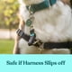 thumbnail image 4 of Collar Companion Ajustable de Gentle Creatures para arnés de perro, 4 of 6