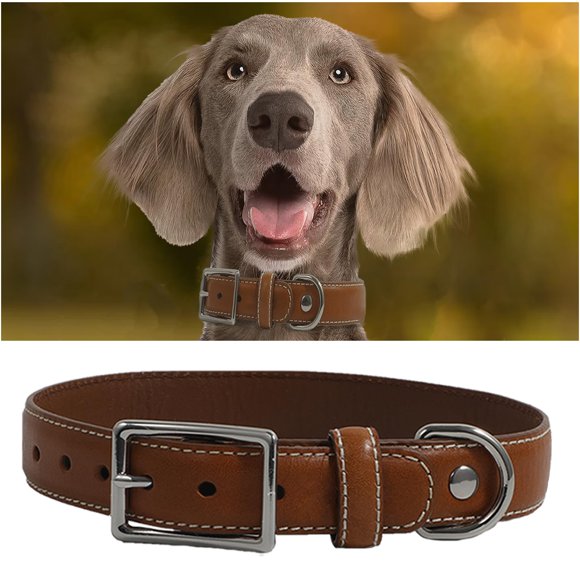 Collar para perro de cuero PCYHIIL 41‑52 cm de alta resistencia