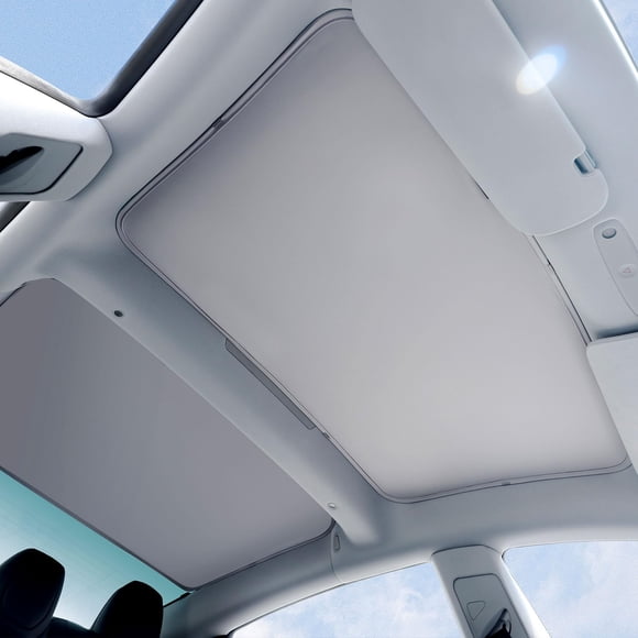 Sombrillas de techo VION Tesla Model 3 2025-2024 Highland