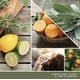 thumbnail image 3 of Aromatizador de Auto, 3 of 3