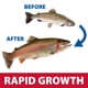 thumbnail image 4 of Alimento para peces de estanque Pond Logic Game Fish Grower, cubeta de 7,7 kg, 4 of 9