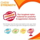 thumbnail image 4 of Juguete masticable Nylabone Textured Bone Power para perros grandes, 4 of 9