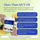 thumbnail image 3 of Polvo MCT Gundry MD MCT Wellness 234 g C8 Blueberry, 3 of 3