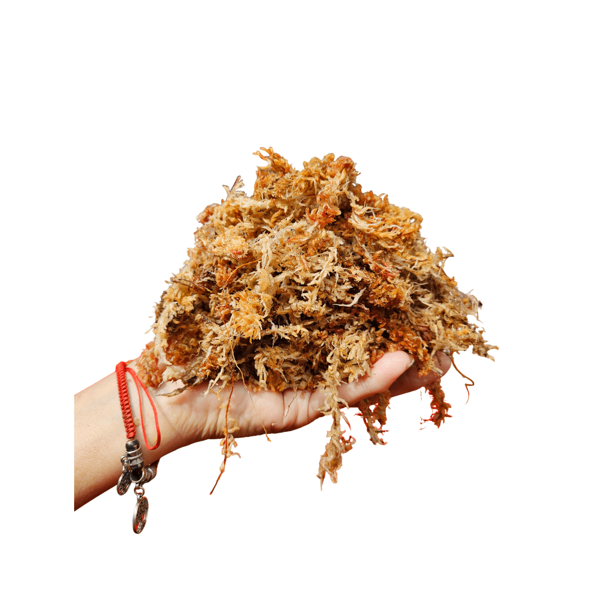 Genérico - Musgo Sphagnum Hidratado Y Expandido 6 Litros