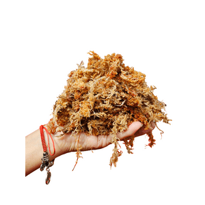 Genérico - Musgo Sphagnum Hidratado Y Expandido 6 Litros