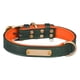 thumbnail image 2 of Collar De Perro Personalizable Con Etiqueta De Nombre Personalizada Para Animales De Interior, Gatos, Cachorros, Verde, XL, 2 of 5