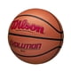 thumbnail image 3 of Juego de baloncesto Wilson Evolution Scarlet Intermediate 28,5 cm, 3 of 6