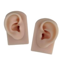 Magideal - 2X Modelo De Oreja De Silicona De Simulación Modelo De Oreja De Silicona Suave Para Enseñar Modelo De Oreja Artificial Para La Práctica De Extracción