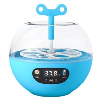 Magideal - Incubadora De Huevos, Incubadora Automática De Huevos Para 6 Huevos, Escotillas De Aves Pequeñas Control Automático De Temperatura Para Incubar Pollos