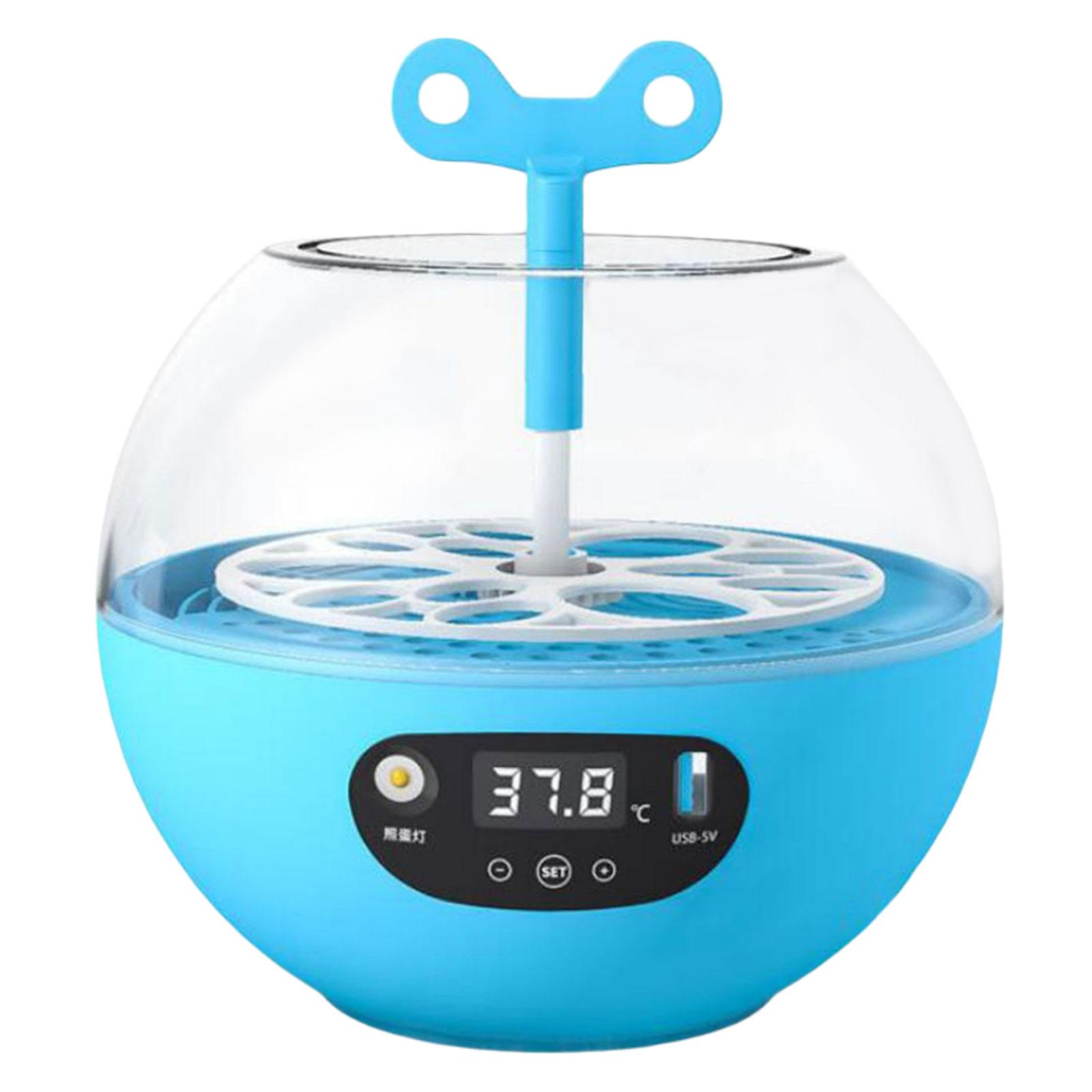 Magideal - Incubadora De Huevos, Incubadora Automática De Huevos Para 6 Huevos, Escotillas De Aves Pequeñas Control Automático De Temperatura Para Incubar Pollos
