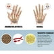 thumbnail image 3 of Guantes De Compresión De Cobre Para Artritis, 3 of 3
