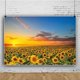 thumbnail image 2 of TELÓN DE FONDO shensu 2,7 x 1,8 m Girasol al Atardecer Vinilo, 2 of 4