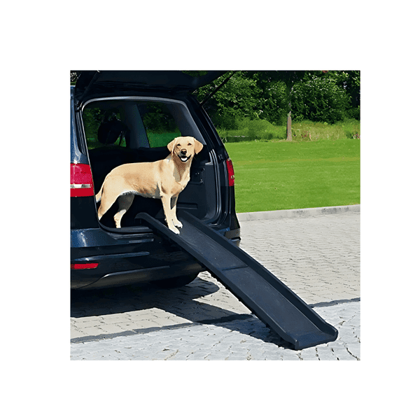 Estilodomus - Rampa Mascotas Grandes Perros U Otros Animales