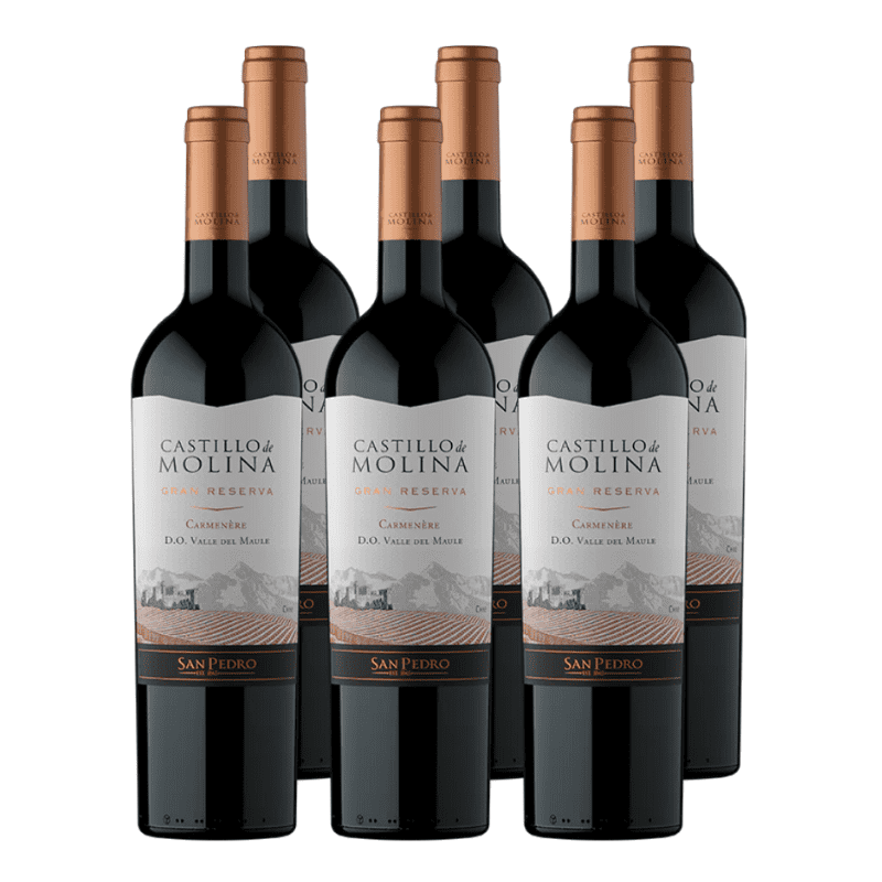 Vino Castillo de Molina Gran Reserva Carmenere 750cc x6