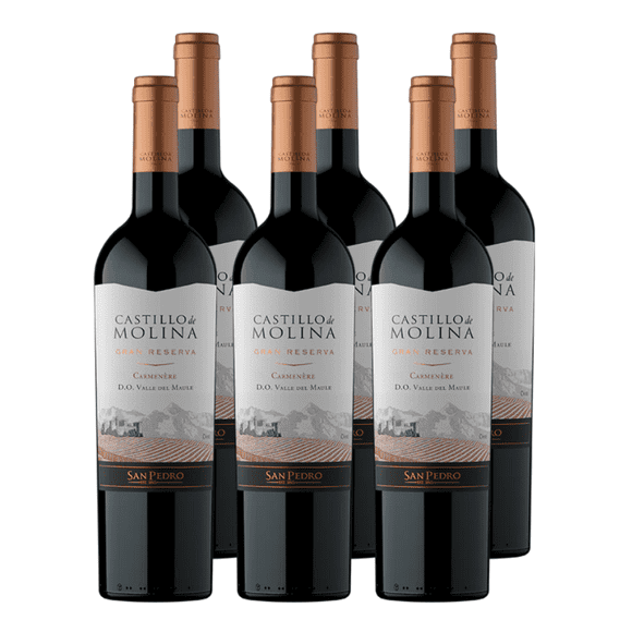 Vino Castillo de Molina Gran Reserva Carmenere 750cc x6