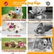 thumbnail image 5 of Juguete De Peluche Para Perros Squeaky Paquete De 5 Unidades Para Perros Pequeños Mediano, 5 of 7