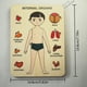 thumbnail image 2 of Human Organ Structure Wooden Puzzle Children's Desktop Toys Early Education Parent-child Interaction Mother And Baby Toys, 2 of 2