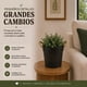 thumbnail image 4 of Set 4 Macetero Metalico Vintage Moderno Con Asas Decorativo negro, 4 of 9