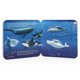 thumbnail image 3 of Libro de cartón Cottage Door Press Peek-a-Flap Ocean Kids de 2 a 5 años, 3 of 7