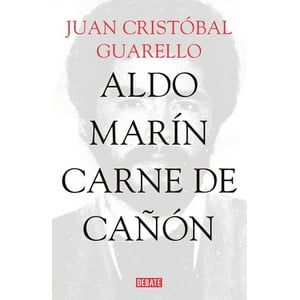 Debate - Libro Aldo Marín - Juan Cristóbal Guarello
