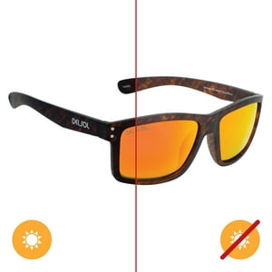 Delsol - Solize Oh Aaron - Marrón A Marrón Oscuro De Para Hombres - Gafas De Sol
