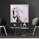 thumbnail image 1 of Cuadro Decorativo Pegasus 83x83, 1 of 4