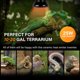 thumbnail image 4 of Lámpara de cerámica con emisor de calor para reptiles, simple deluxe, 25 W, color negro, 4 of 7