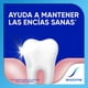 thumbnail image 3 of Pasta Dental Sensodyne Complete Protection + Whitening 90 g, 90 g, 3 of 8
