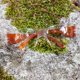 thumbnail image 3 of Gafas de seguridad BISON LIFE Crystal Clear Lens Orange x12, 3 of 8