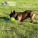 thumbnail image 5 of Juguete interactivo para perros Wobble Wag Giggle Ball como se ve en la televisión, 5 of 9