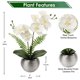 thumbnail image 2 of Orquídeas artificiales Briful White con jarrón plateado de 33 cm, 2 of 6