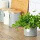 thumbnail image 2 of Contenedor Hierba Gris, 2 of 2