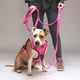 thumbnail image 3 of Correa De Paseo Tactic Para Perros Street Dogs 5m fucsia, 3 of 5