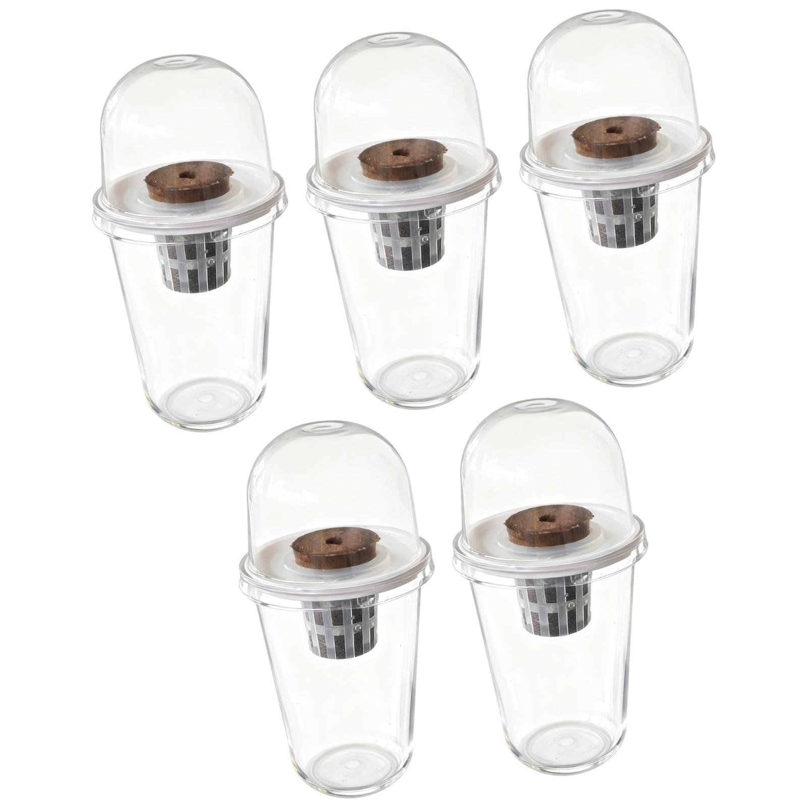 Ioensy - Kit De Sistema De Cultivo Hidropónico Para Césped De Canola, Suministros Hidropónicos, Kit De 5 Cápsulas Para Plantas.