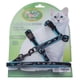 thumbnail image 1 of Arnés Y Correa Gato Acolchado Reflectante Azul, 1 of 1