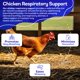 thumbnail image 4 of Suplemento Homeopático HealthyAnimals4Ever para Gallinas 300 Tabletas, 4 of 8