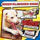 thumbnail image 4 of Juguetes masticables para perros Zeaxuie Heavy Duty, paquete de 12 unidades, para masticadores agresivos, 4 of 7
