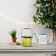 thumbnail image 5 of Farol para velas Zingz & Thingz, cristal con parte superior abierta y mango de 16,5 cm, 5 of 6