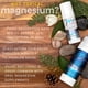 thumbnail image 4 of Loción de Magnesio MG12 MagneCalm Descanso 148 ml, 4 of 5