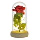 thumbnail image 1 of Rosas Eternas Rosa Eterna Rosas Preservada Led San Valentin Rojo, 1 of 10