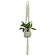 thumbnail image 1 of Colgador de Plantas Macramé Simple Blanco (E), 1 of 2
