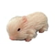 thumbnail image 3 of Silicone Baby Pig Juega Muñeca De Cerdo Recién Nacido Para Niños De Juego De Roles, 3 of 5