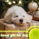 thumbnail image 5 of 24cm Gigante Pelota De Tenis Para Mascota Grande Perros Amarillo, 5 of 7