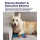 thumbnail image 3 of Juguete masticable Petstages Orka Bone Royal Blue para dispensar golosinas, 3 of 8