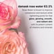 thumbnail image 5 of Sérum CELDYQUE Niacinamide Advanced 20% para rostro con vitamina B3, 30 ml, 5 of 7