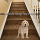 thumbnail image 5 of Puerta para perros Puerta de malla plegable para interiores y exteriores, 5 of 8