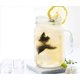 thumbnail image 5 of Té Blanco Orgánico iMoZai 100 Bolsitas, 5 of 8