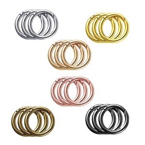 Bothyi - 18 Piezas Spring Gate O Rings Mosquetón Llavero Hebilla Push Gate Snap Hook