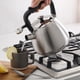 thumbnail image 2 of Hervidor de agua Mr. Coffee Armidale 2.5L con silbato para estufa, 2 of 6
